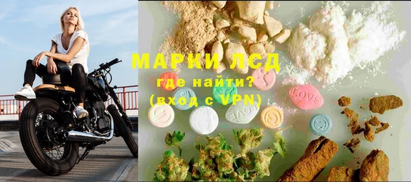 гидра Абаза
