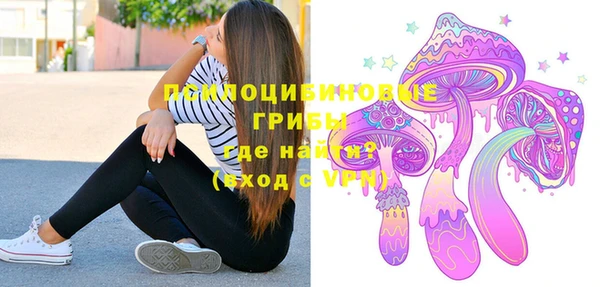 гидра Абаза
