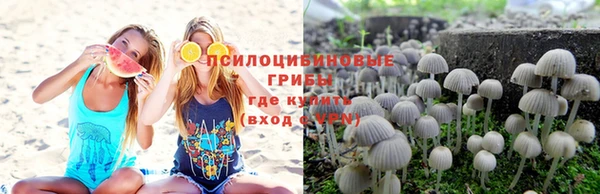 тгк Абинск