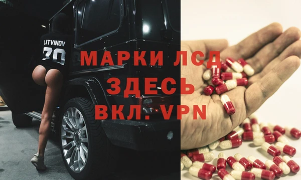 гидра Абаза