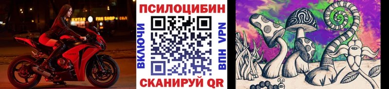 Псилоцибиновые грибы Psilocybine cubensis  Комсомольск-на-Амуре 