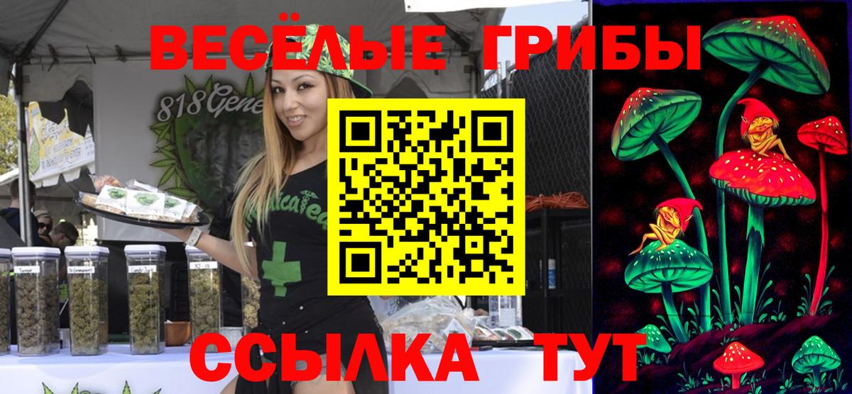 Галлюциногенные грибы Cubensis  Вход с VPN  Комсомольск-на-Амуре  Псилоцибиновые грибы GOLDEN TEACHER 